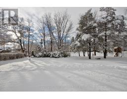293 ELGIN STREET E - 34