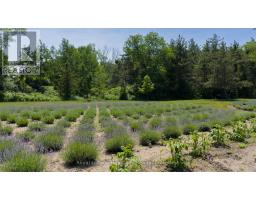 8499 GOOSEMARSH LINE - 15