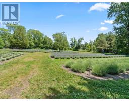 8499 GOOSEMARSH LINE - 35