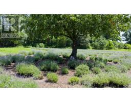 8499 GOOSEMARSH LINE - 36