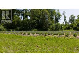 8499 GOOSEMARSH LINE - 37