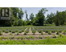 8499 GOOSEMARSH LINE - 38