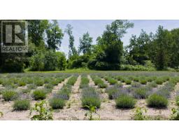 8499 GOOSEMARSH LINE - 39