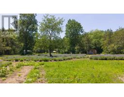 8499 GOOSEMARSH LINE - 40