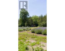8499 GOOSEMARSH LINE - 41