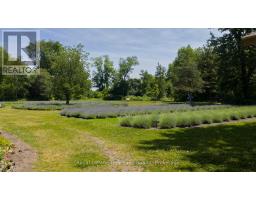 8499 GOOSEMARSH LINE - 6