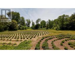 8499 GOOSEMARSH LINE - 7