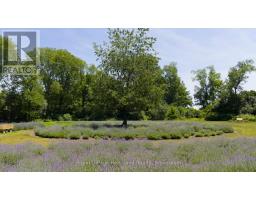 8499 GOOSEMARSH LINE - 9