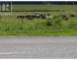 20328 FAIRVIEW ROAD - 2