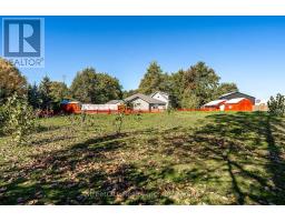 4303 119 HIGHWAY - 41