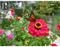 4217 BLUEPOINT DRIVE - 41