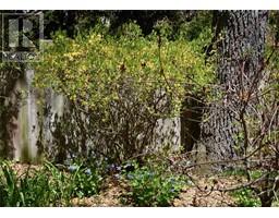 1458 CATHCART BOULEVARD - 35