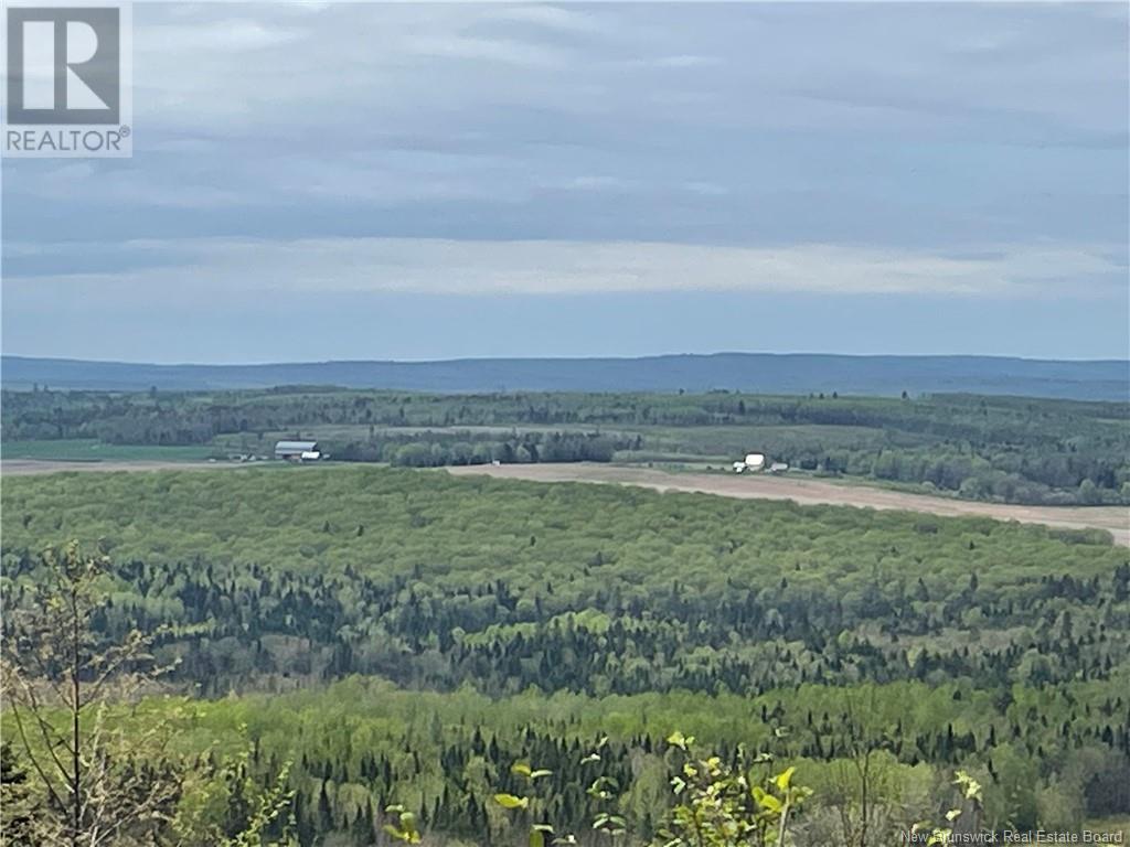 For sale: Lot Howland Ridge Road, Millville, New Brunswick E6E1Y6 ...