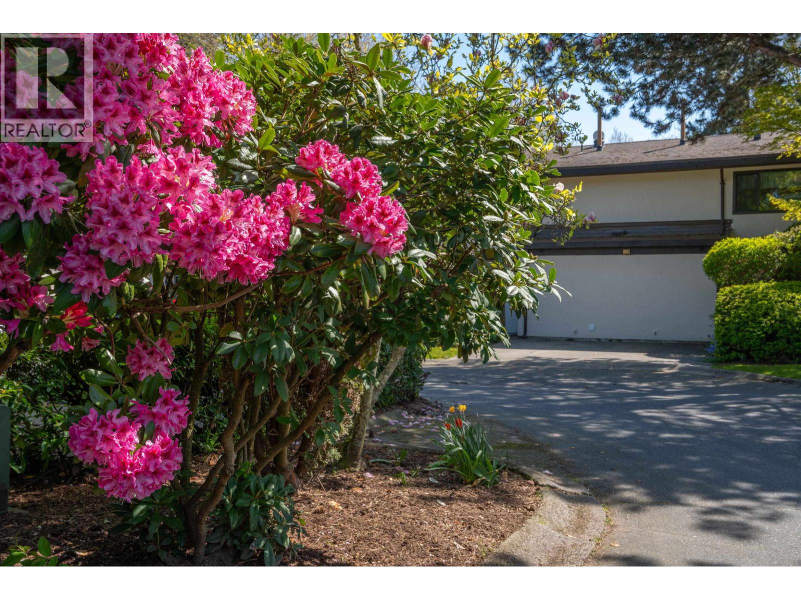 For sale: 71 11491 7TH AVENUE, Richmond, British Columbia V7E4J5