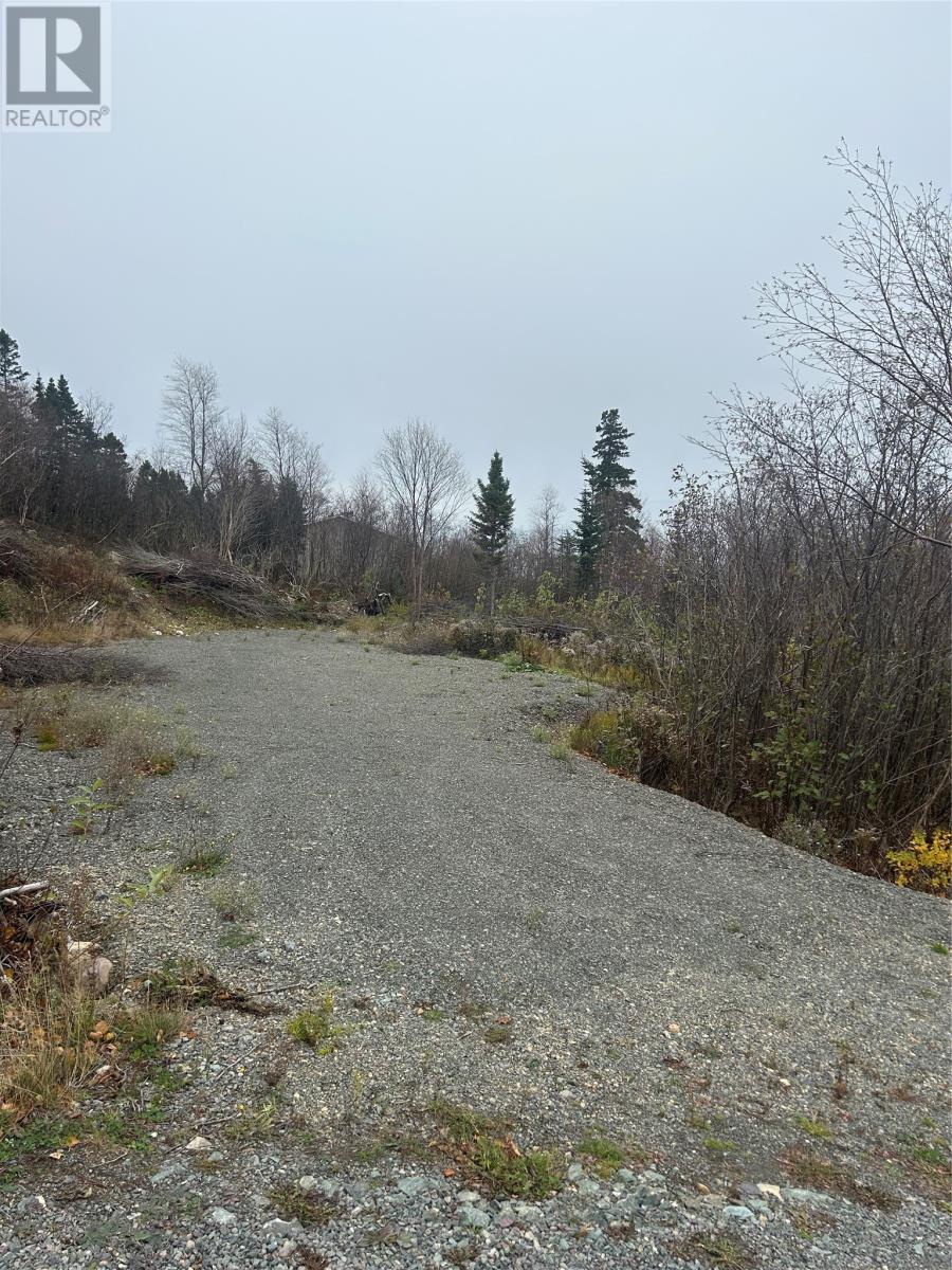 For sale: 17 Random Island Road, RANDOM ISLAND, Newfoundland & Labrador ...