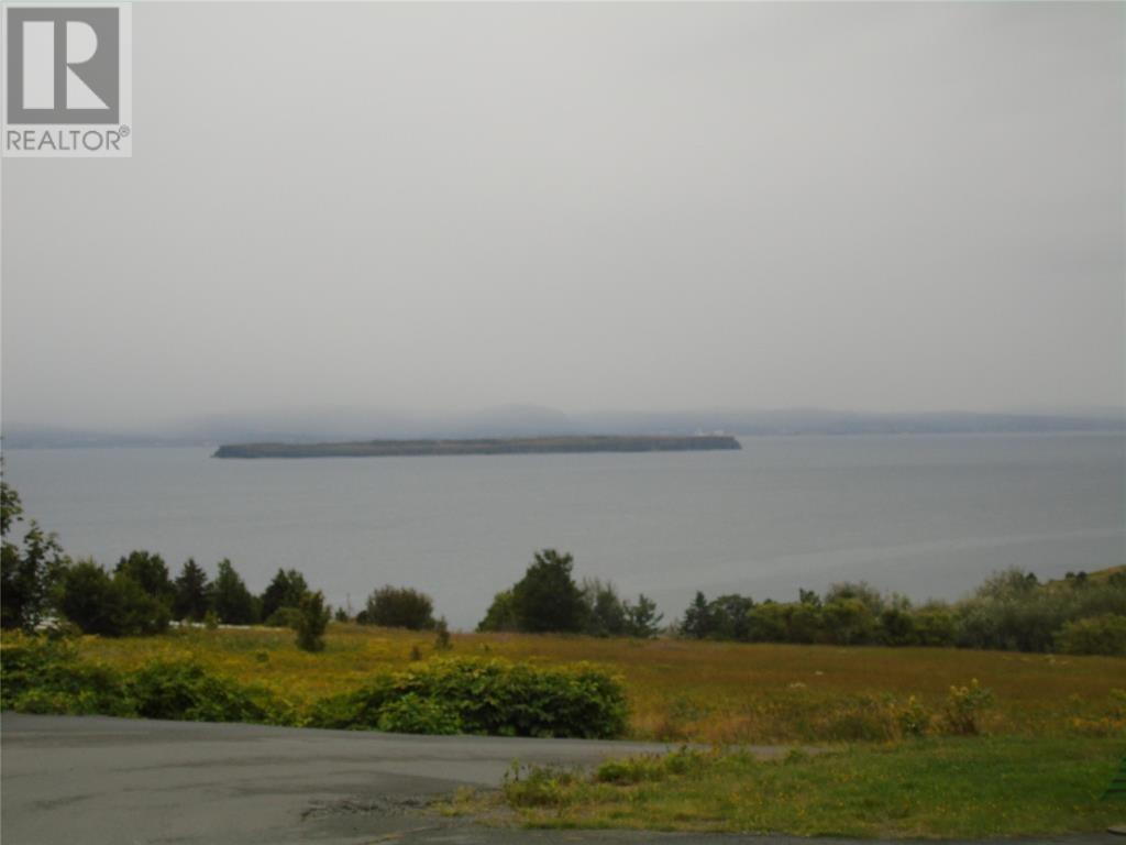 0 Southside Lance Cove Road