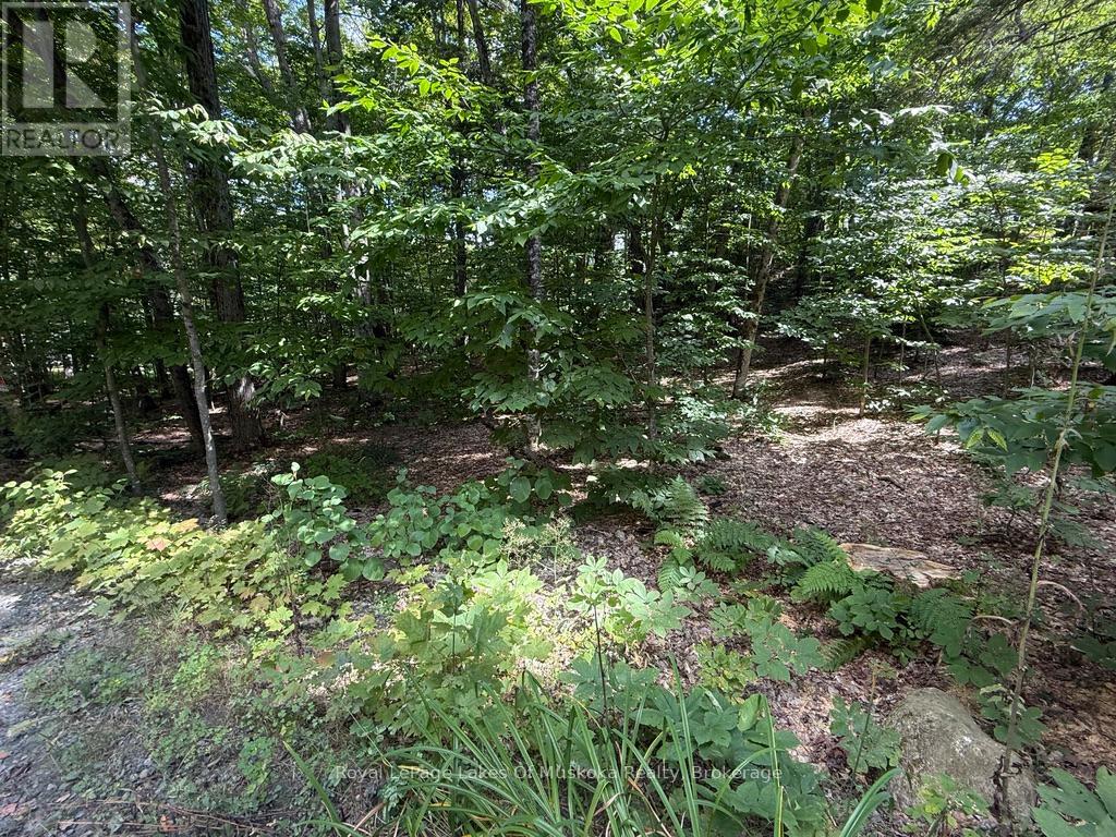 LOT 85 BRENNAN CIRCLE