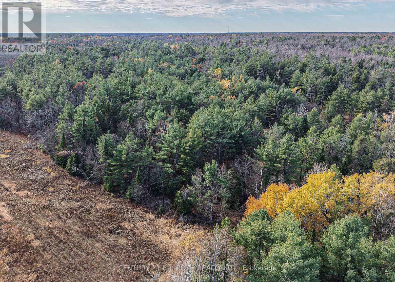 For sale: 1036 HOPKINS ROAD, Gravenhurst (Ryde), Ontario P1P1R3 - X12860606 | REALTOR.ca For sale: 1036 HOPKINS ROAD, Gravenhurst (Ryde), Ontario P1P1R3 - X12860606 | REALTOR.ca