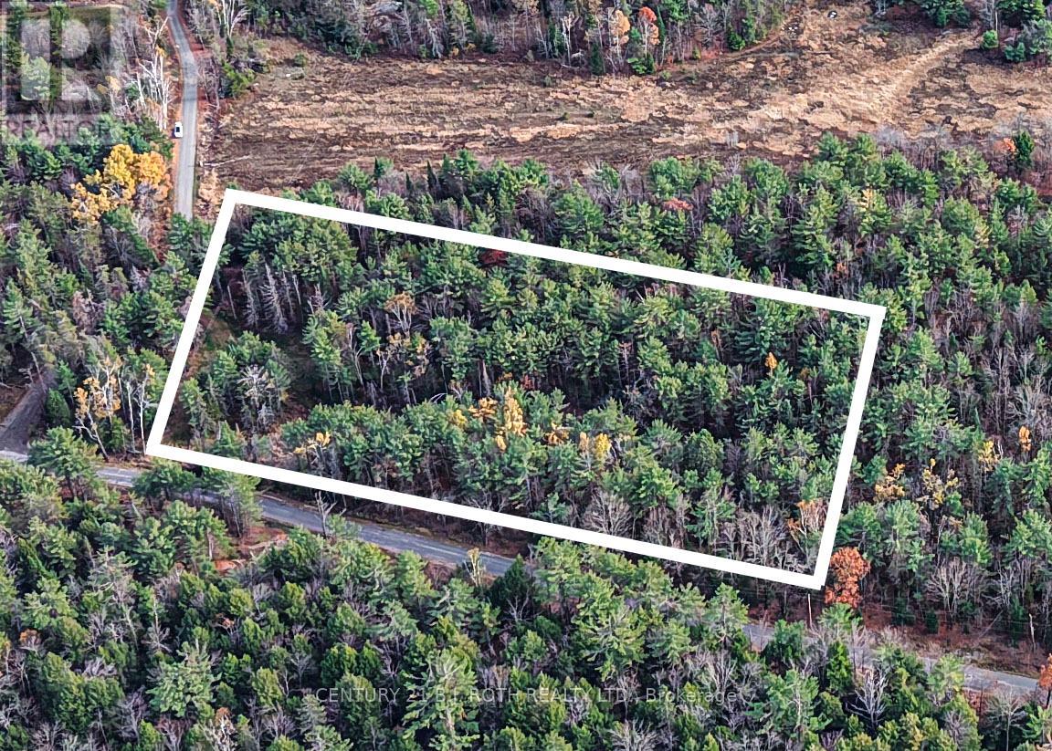 For sale: 1036 HOPKINS ROAD, Gravenhurst (Ryde), Ontario P1P1R3 - X12860606 | REALTOR.ca For sale: 1036 HOPKINS ROAD, Gravenhurst (Ryde), Ontario P1P1R3 - X12860606 | REALTOR.ca
