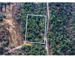 For sale: 1036 HOPKINS ROAD, Gravenhurst (Ryde), Ontario P1P1R3 - X12860606 | REALTOR.ca For sale: 1036 HOPKINS ROAD, Gravenhurst (Ryde), Ontario P1P1R3 - X12860606 | REALTOR.ca