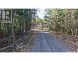 For sale: 1036 HOPKINS ROAD, Gravenhurst (Ryde), Ontario P1P1R3 - X12860606 | REALTOR.ca For sale: 1036 HOPKINS ROAD, Gravenhurst (Ryde), Ontario P1P1R3 - X12860606 | REALTOR.ca