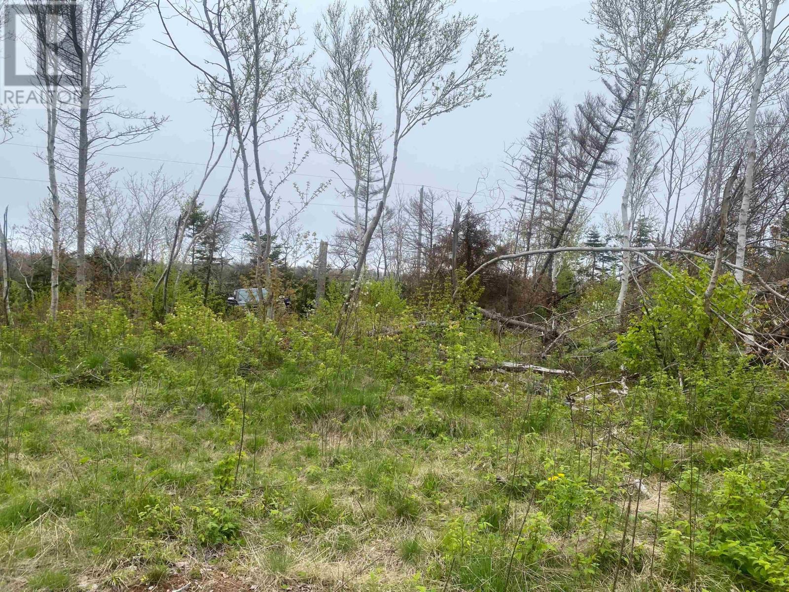 Lot Cape Road