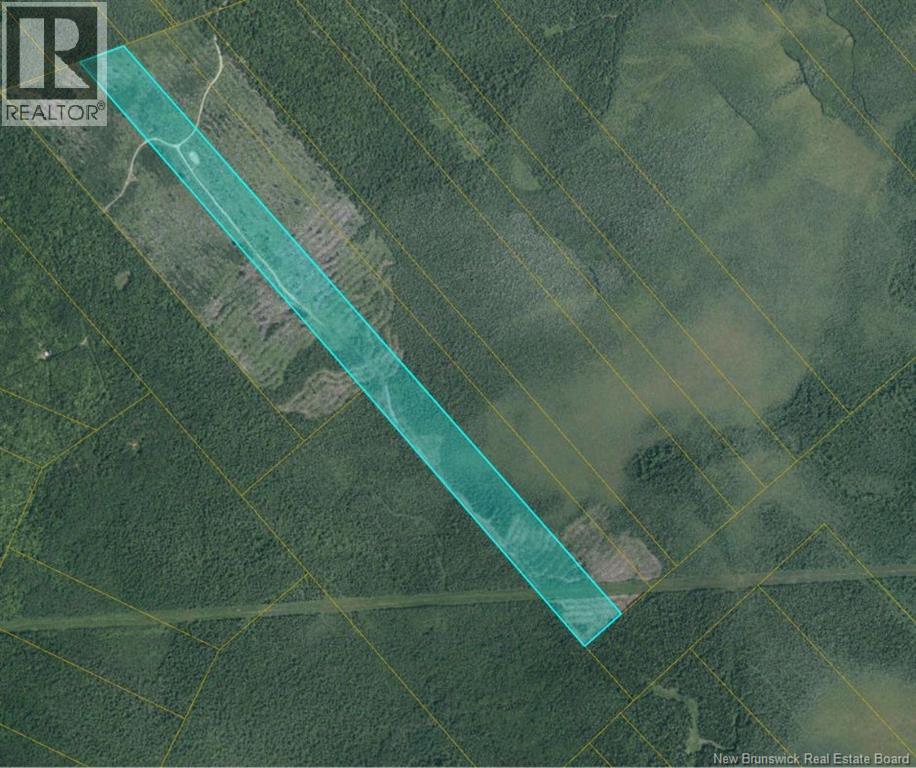 00 WOODLAND S MCKNIGHT GT2  - South Napan Rd 2nd Tier