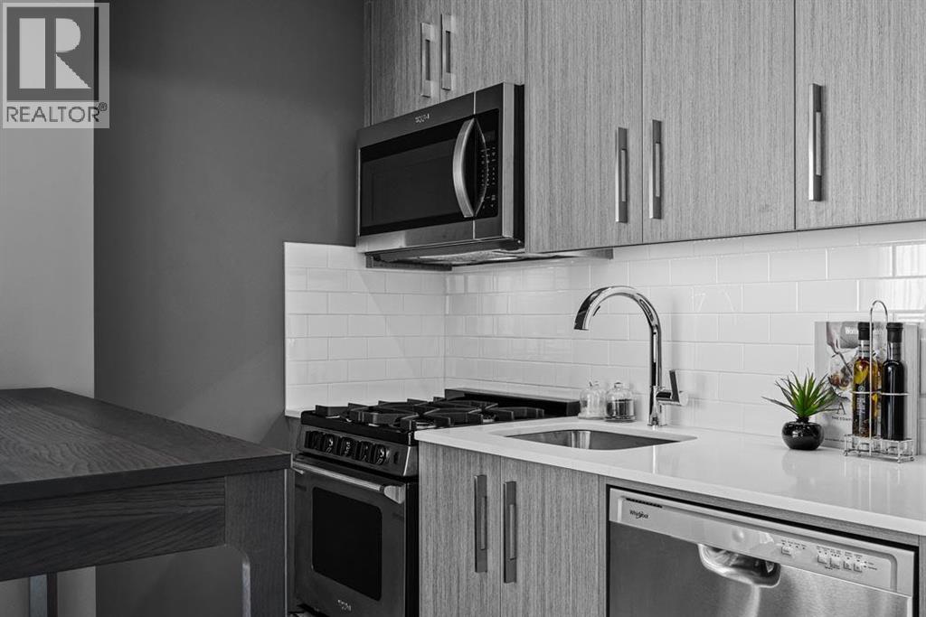 Apartment for Sale in 235, 110 18A Street NW|Calgary, Alberta T2N5G5 3