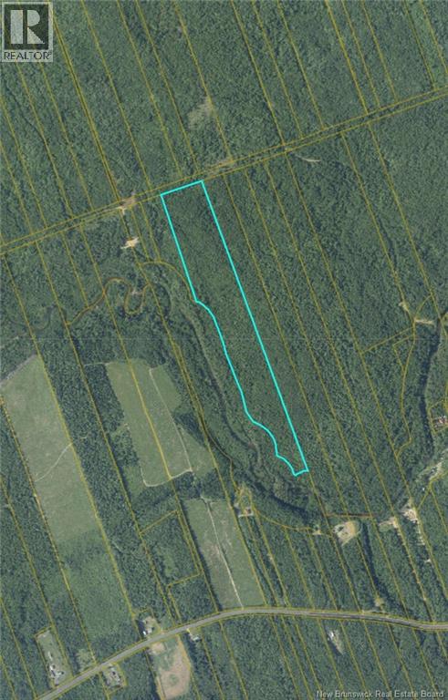 21.42 acres Rte 355, Rang-Saint-Georges, New Brunswick E8R2B6