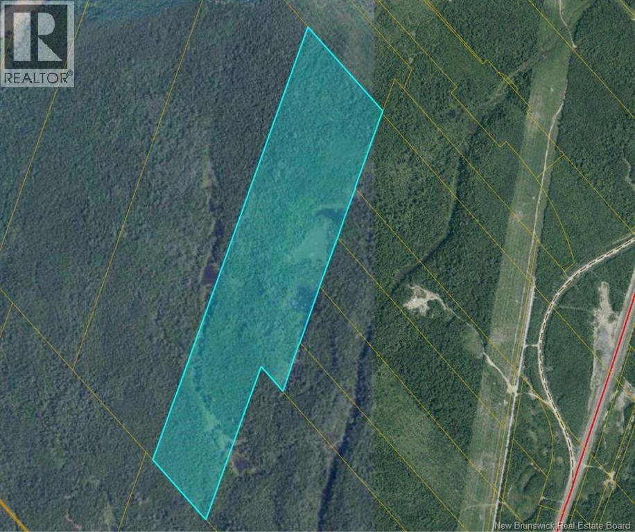 00 Timberland - Off King George HWY - Miramichi
