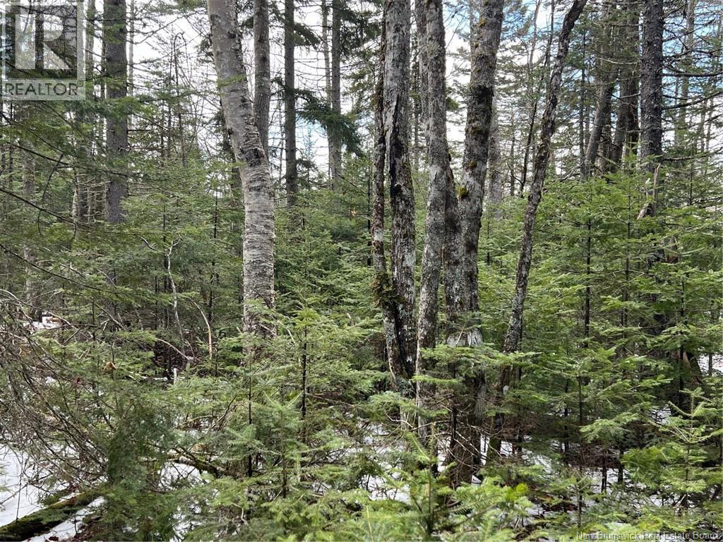 Lot 1 and 2 Plan 4632 Route 645