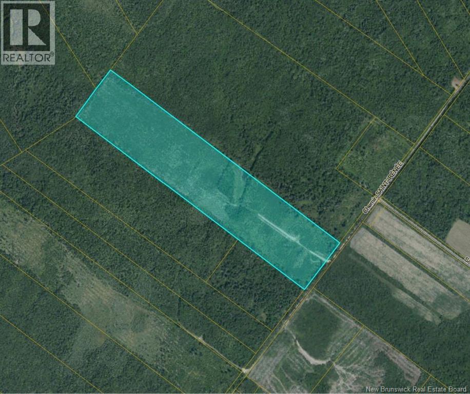 00 Woodlot Chemin Saint-Irenee