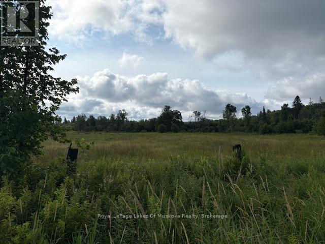 0 OLD MUSKOKA TO THE WEST SIDE OF #1105 ROAD