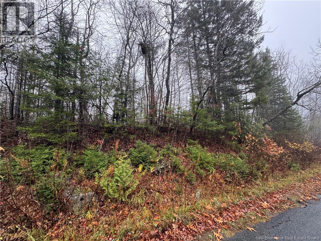 25-01 St. David Ridge Road