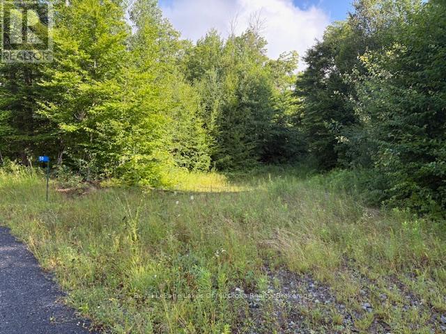 59 SUMMER LEIGH TRAIL