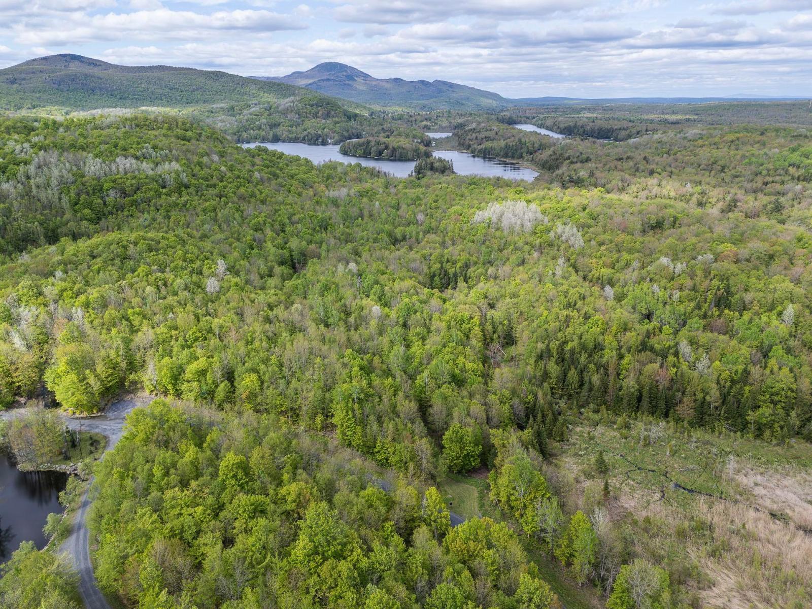 For sale: 1 Ch. Galvin, Austin, Quebec J0B1B0 - 24609010 | REALTOR.ca