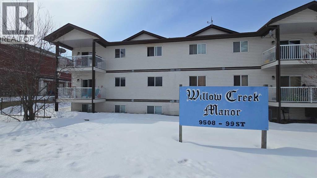 203, 9508 99 street