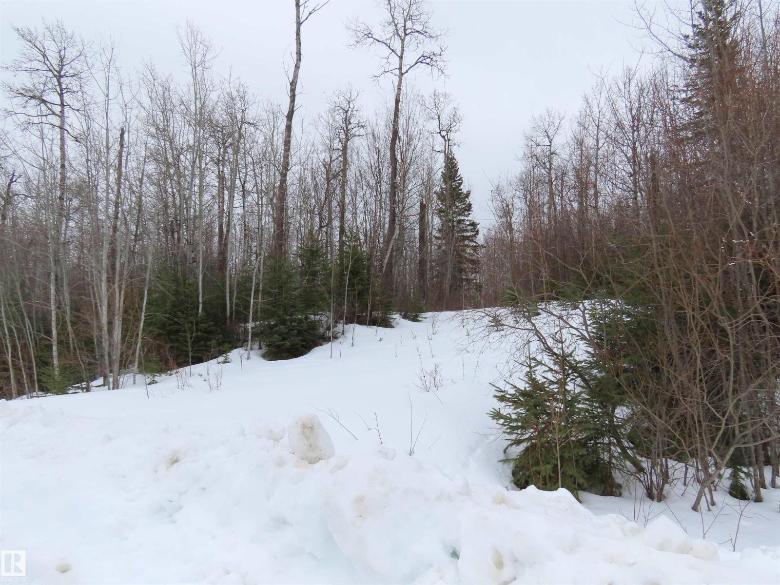 #33 56110 RGE ROAD 13