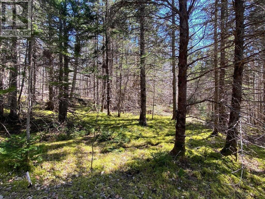 Acreage Stronach Mountain Road