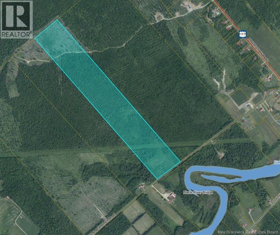 Woodland - NORTH BLACK RIVER RD