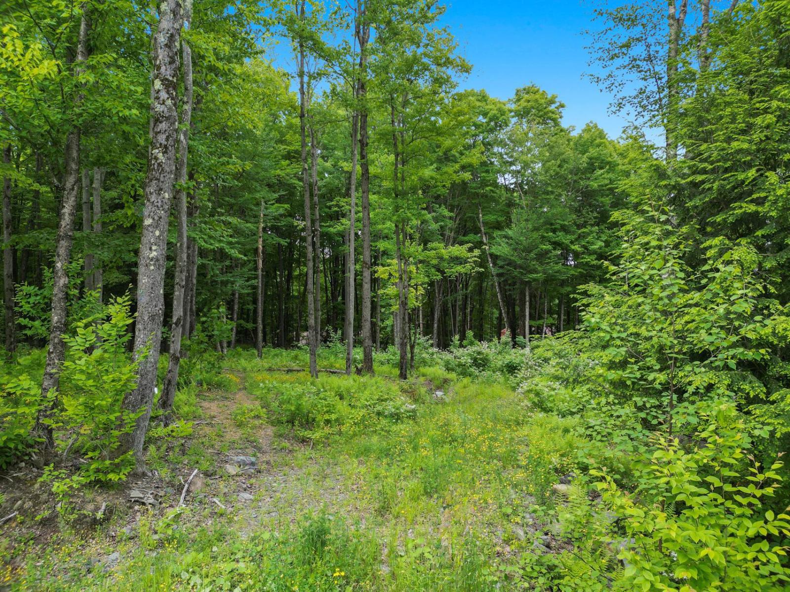 For sale: Ch. du Grand-Pic, Austin, Quebec J0B1B0 - 24315055 | REALTOR.ca