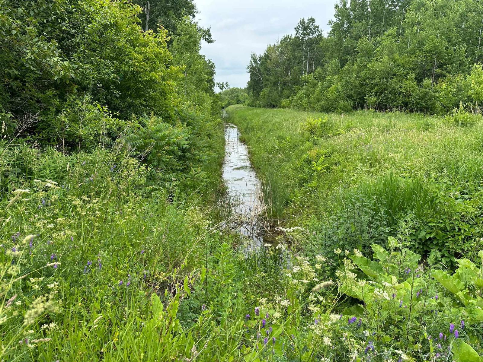 Rue Non Disponible-Unavailable, Longueuil (Saint-Hubert), Quebec J3Y5Z7