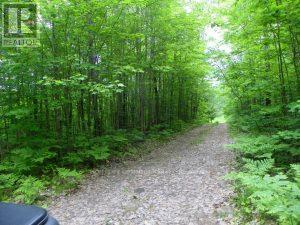 50 ACRES IN MUSKOKA NORTH OF BALA PCL 31045