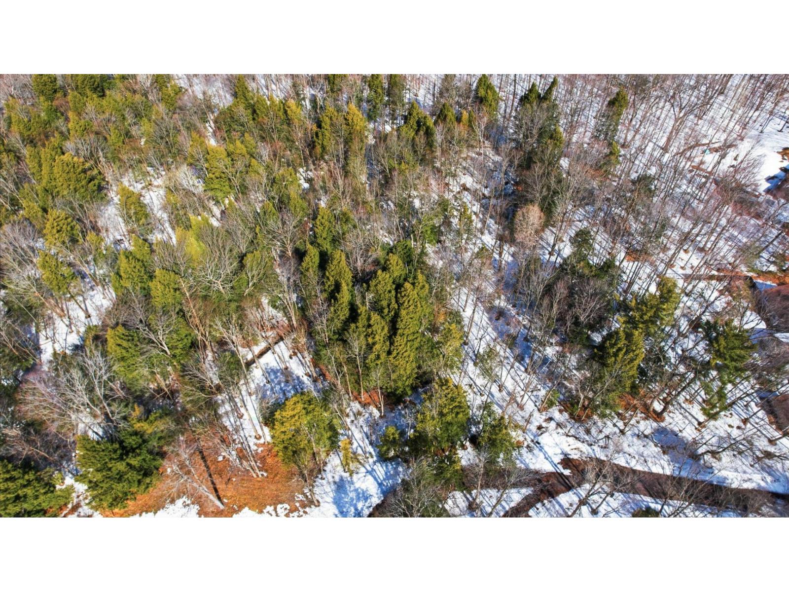 Rue Hemlock, Vaudreuil-Dorion, Quebec J7V0G1