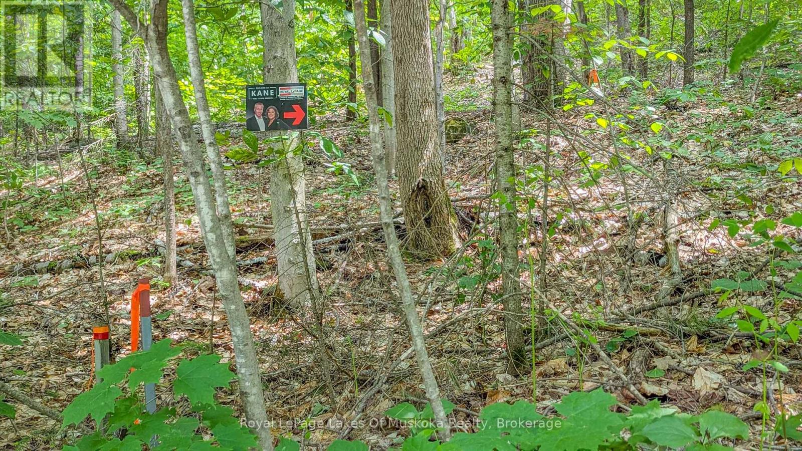 0 ROSSEAU LAKE RD 1
