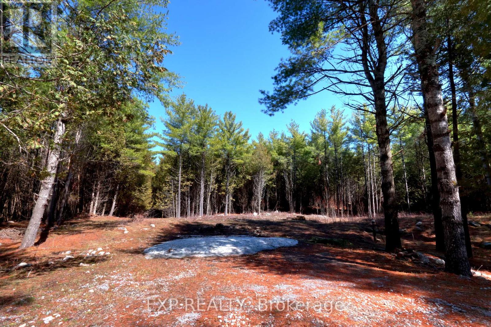 For sale: 593 COUNTY 40 ROAD, Douro-Dummer, Ontario K0L2V0 - X13018162 ...
