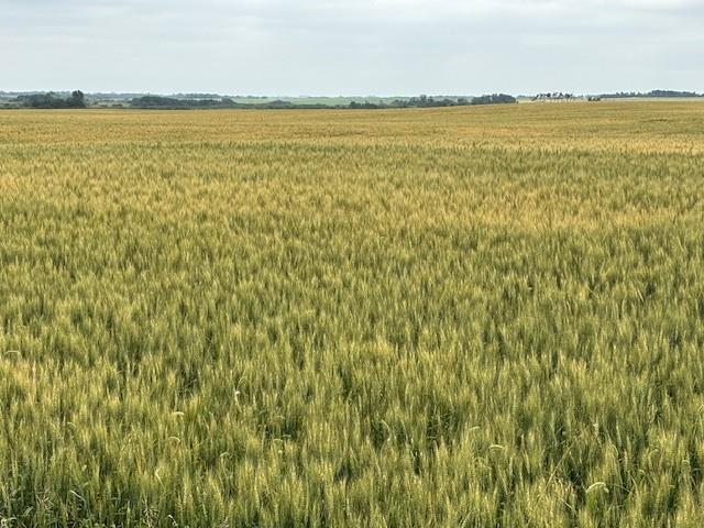 Pipestone, Manitoba R0M1X0