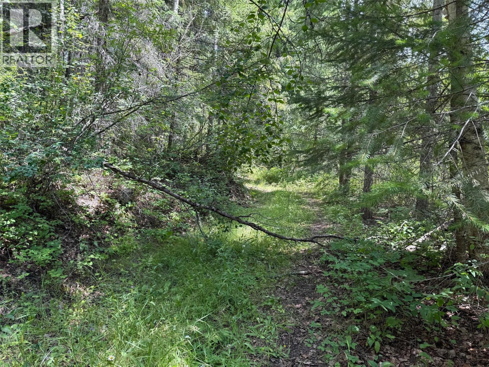 4069 East Barriere Lake Road