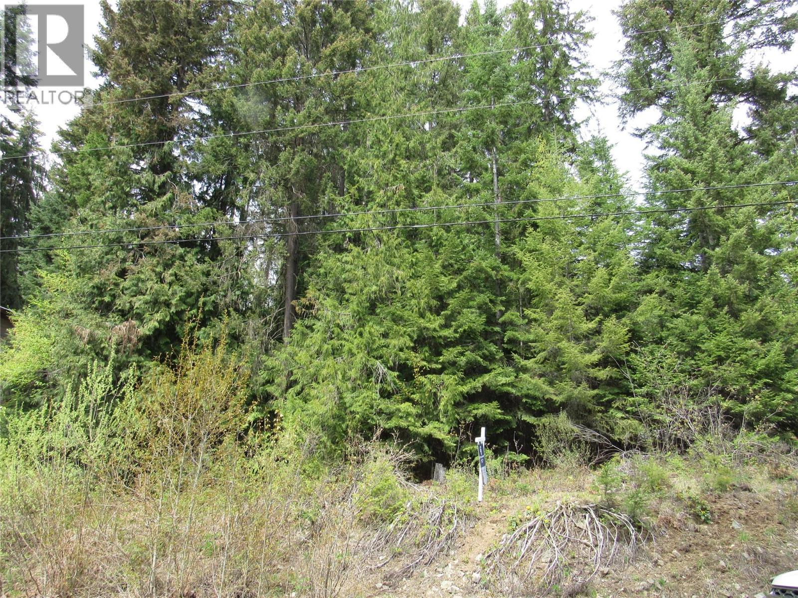 Lot 19 Nelson Rural 08182.190 Lot# 19