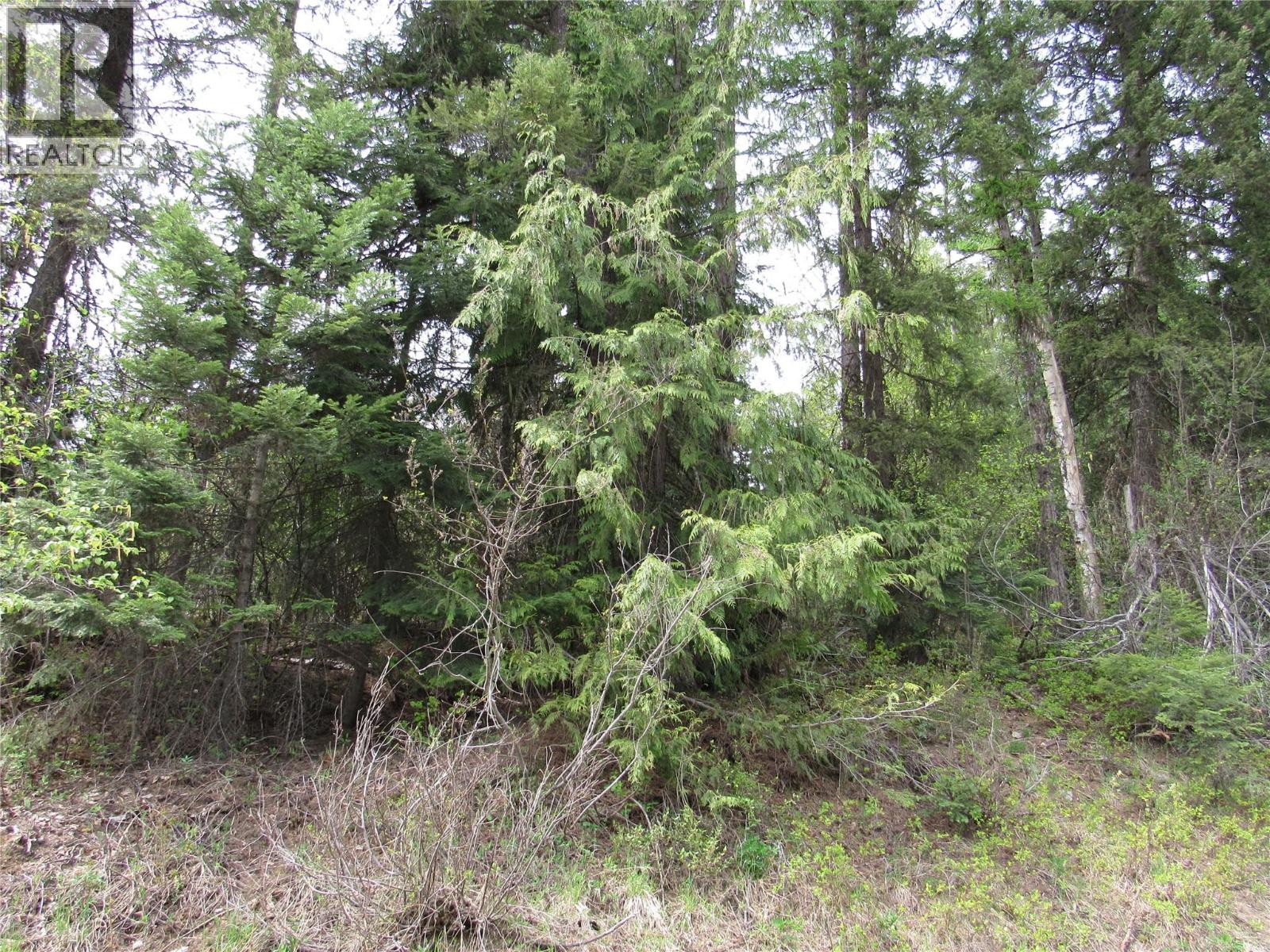 Lot 11 Nelson Rural 08182-128